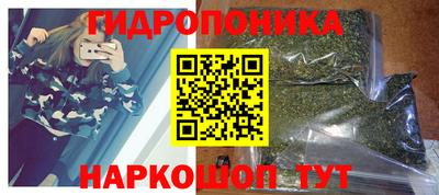 ALPHA PVP Гусев