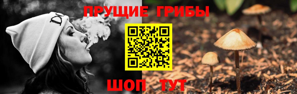 Красногорск  Галлюциногенные грибы MAGIC MUSHROOMS  Вход с VPN 